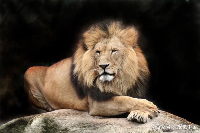 AYX SPORTS-浓眉手感滚烫，带领罗马大胜利雅得新月，赛后一句话霸气侧漏的简单介绍